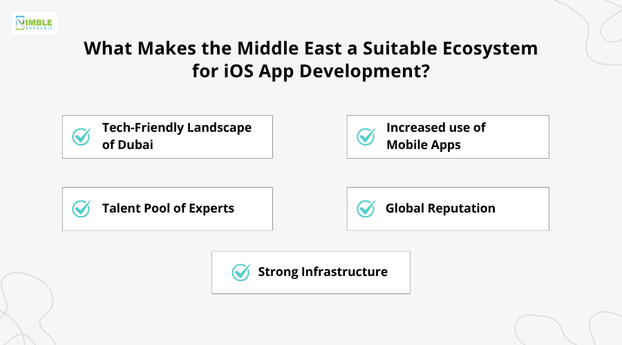 What Makes the Middle East a Suitable Ecosystem for iOS App Development