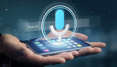 Voice Assistance